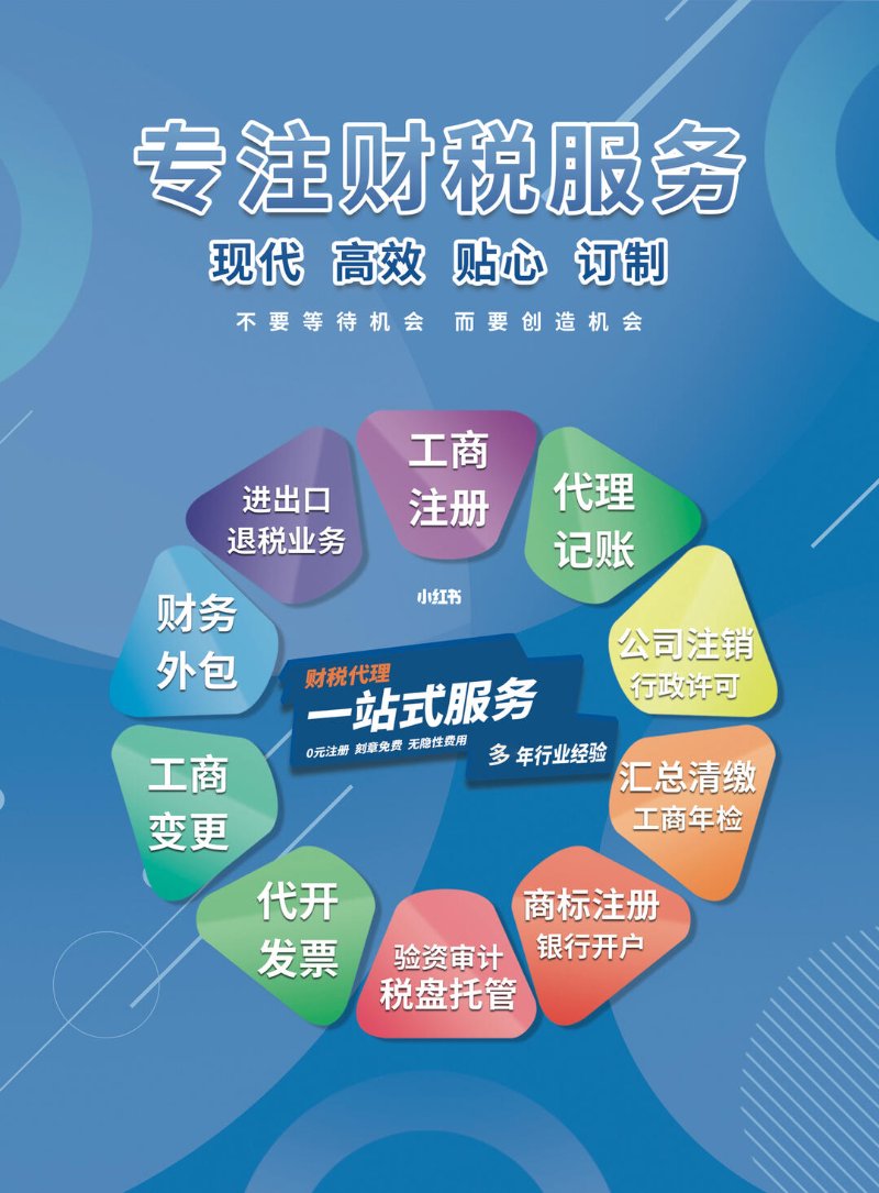 财税代理服务